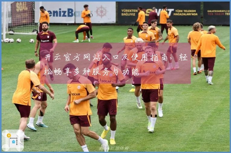 开云官方网站入口及使用指南，轻松畅享多种服务与功能