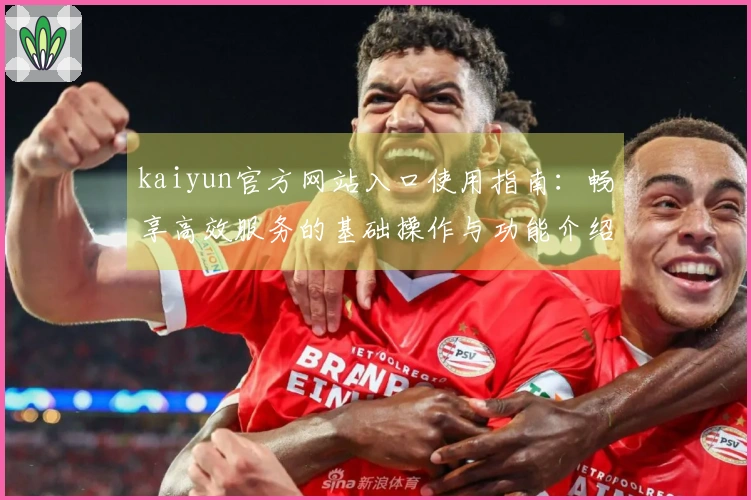 kaiyun官方网站入口使用指南:畅享高效服务的基础操作与功能介绍