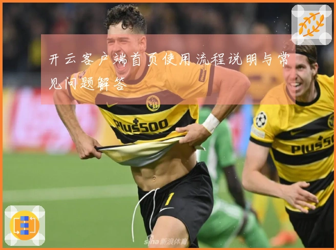 开云客户端首页使用流程说明与常见问题解答
